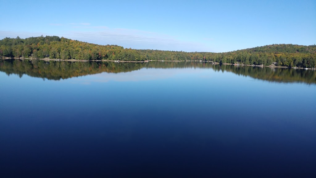 Greater Haliburton Team | 4502 Kennisis Lake Rd, Dysart and Others, ON K0M 1S0, Canada | Phone: (705) 754-1932
