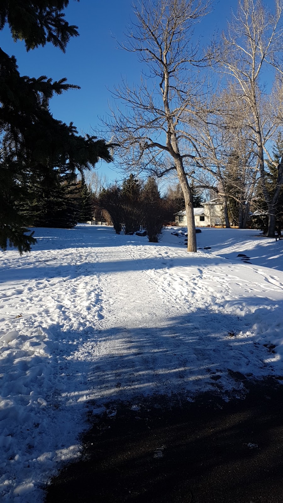 Babbeling Brook Park | 264 Cannington Pl SW, Calgary, AB T2W 1Z8, Canada