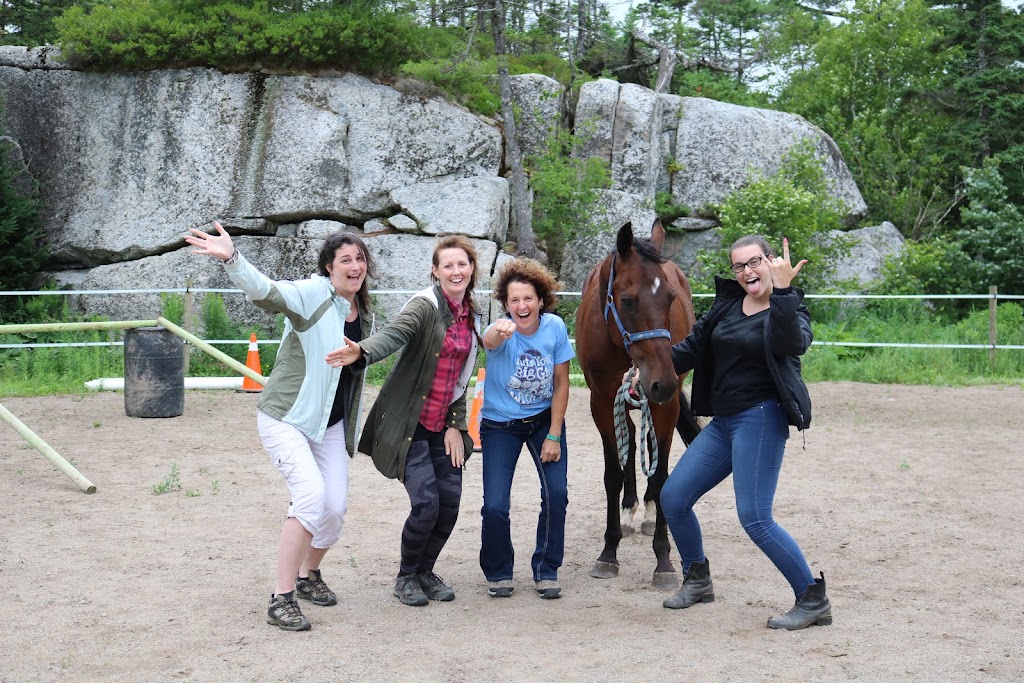 Equine Connection - The Academy of Equine Assisted Learning | 264039a Township Rd 224, Carseland, AB T0J 0M0, Canada | Phone: (403) 560-1153