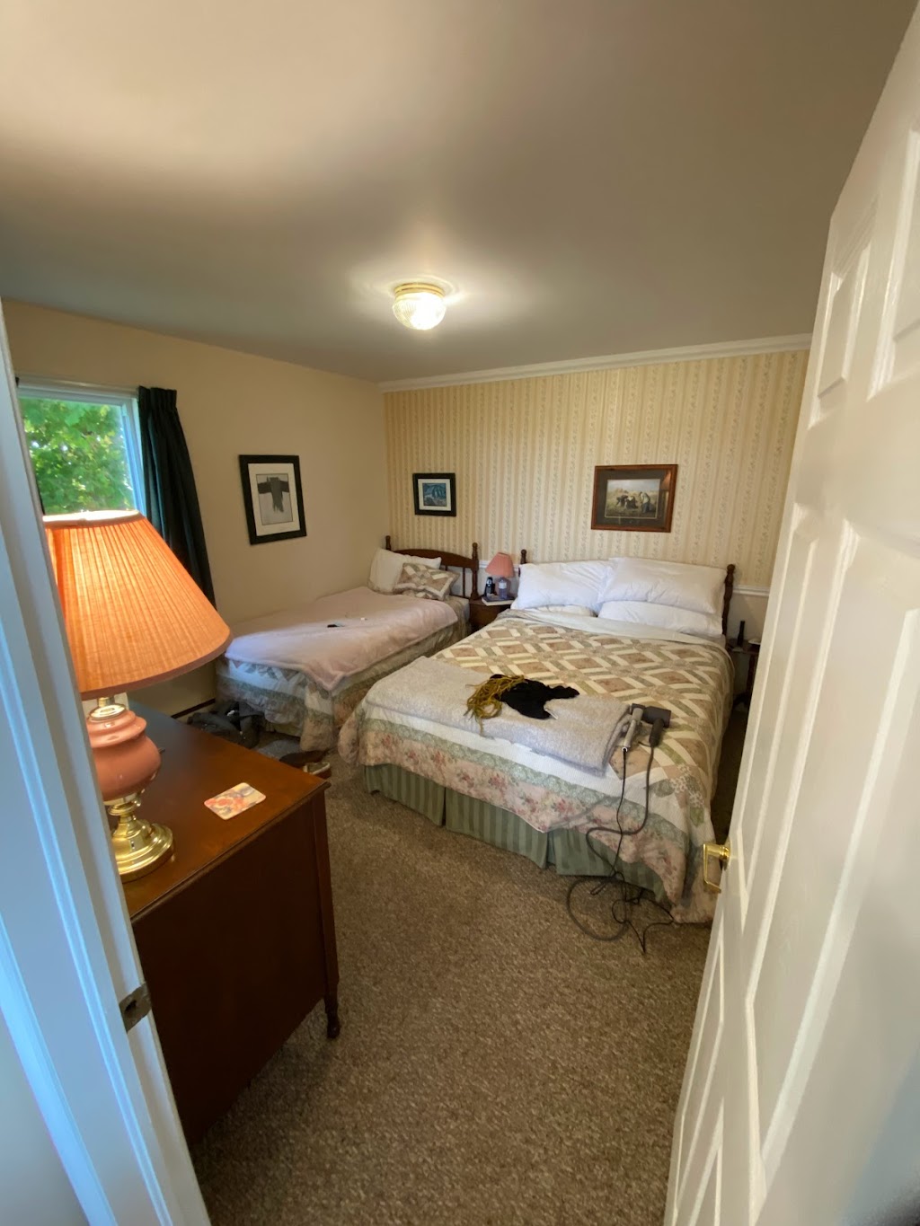 The Birches Cottages | 1517 Pownal Rd, Alexandra, PE C1B 2T2, Canada | Phone: (902) 394-2075