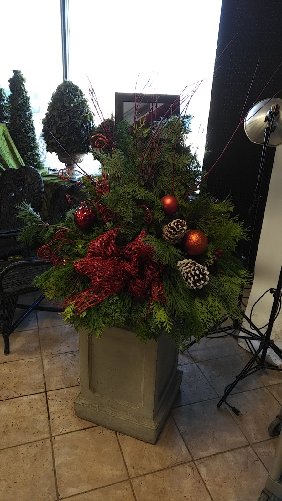 Elmara Flower, Garden & Home Decor | 5365 Walker Rd, Oldcastle, ON N0R 1L0, Canada | Phone: (519) 737-1151