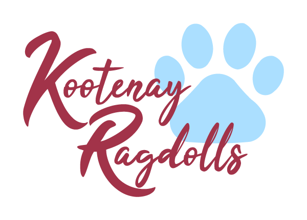 Kootenay Ragdolls | 2091 BC-3, Jaffray, BC V0B 1T0, Canada | Phone: (250) 464-1744