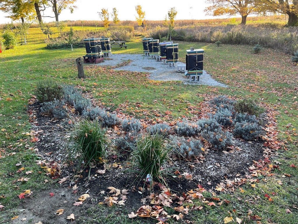 Fielding Bees | 41803 Hydro Line Rd, Seaforth, ON N0K 1W0, Canada | Phone: (519) 525-8112