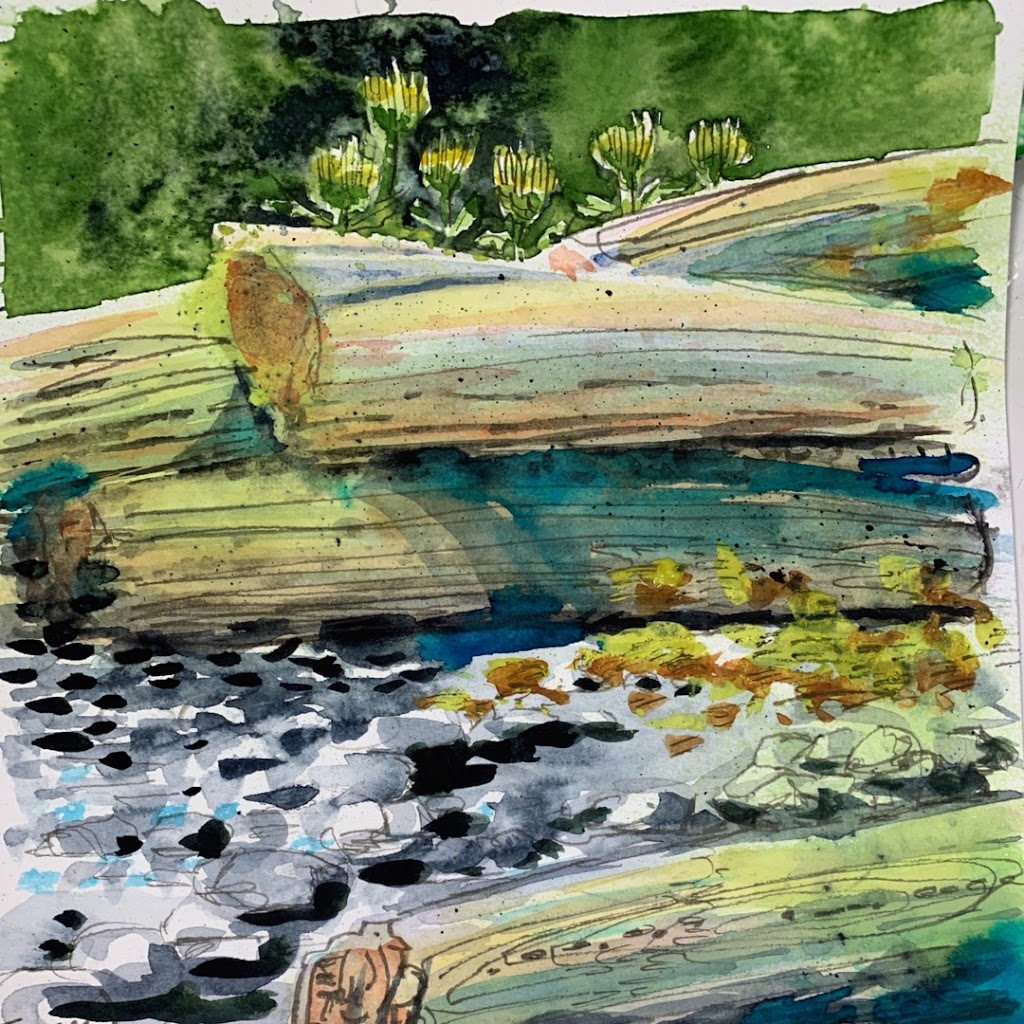 Susy-J Watercolour Artist | 59 Bowser Rd, Bowser, BC V0R 1G0, Canada | Phone: (250) 202-6033