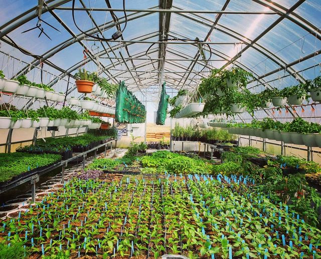 mosaic farms | 29315 RR 275, AB T0M 0S0, Canada | Phone: (403) 608-0759