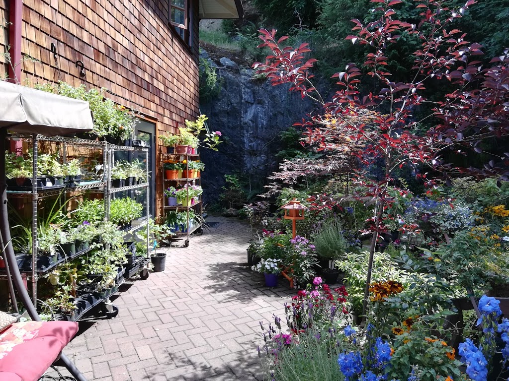 Bowen Island Flower Shop | 559 Artisan Ln, Bowen Island, BC V0N 1G0, Canada | Phone: (604) 947-2278