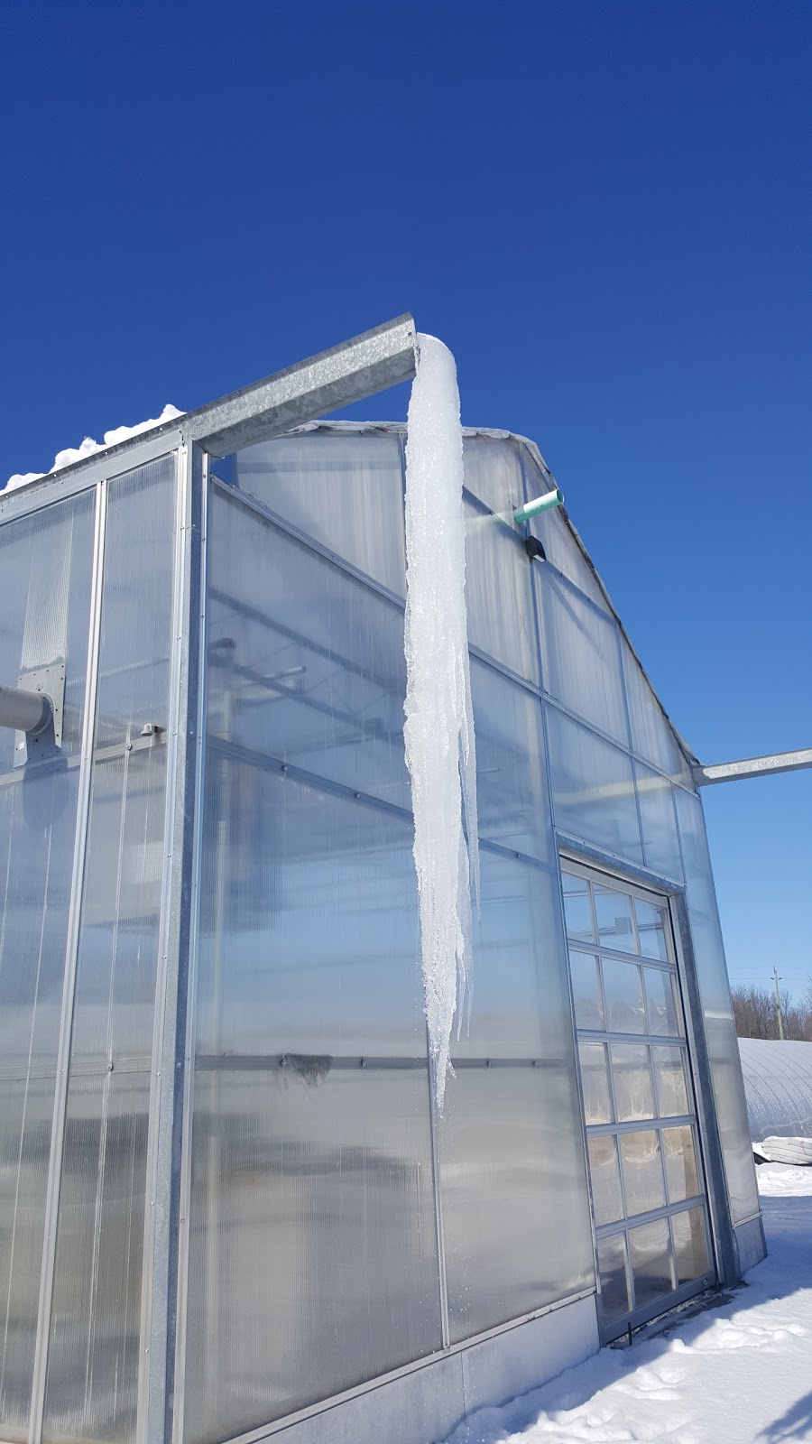 L & D Ferragina Ltd. | 1601 Canal Rd, Bradford, ON L3Z 2A6, Canada | Phone: (905) 775-4389