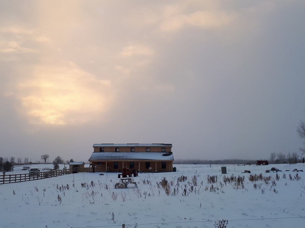 Applewood Farm & Winery- North of Port | 2055 Saintfield Rd, Sunderland, ON L0C 1H0, Canada | Phone: (905) 642-4720