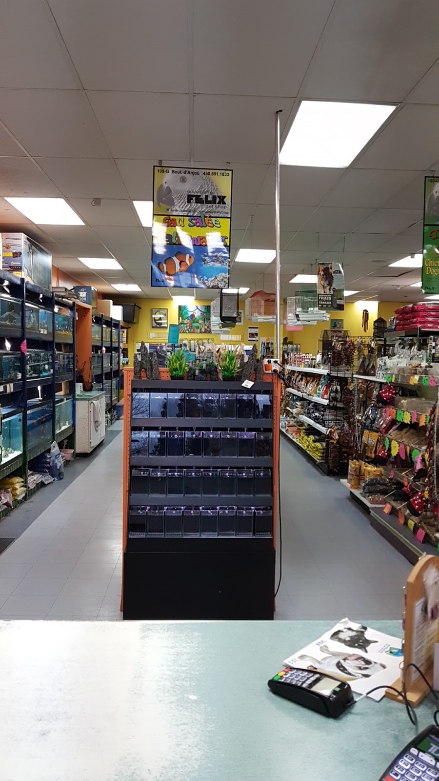 Animalerie Felix Pet Shop | 109 Boulevard DAnjou, Châteauguay, QC J6J 2R2, Canada | Phone: (450) 691-1833