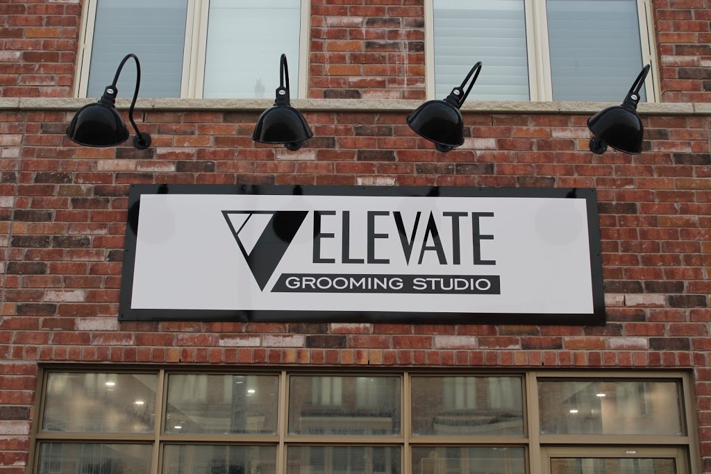 Elevate Grooming Studio | 146 Inspire Blvd, Brampton, ON L6R 3X9, Canada | Phone: (647) 712-0279