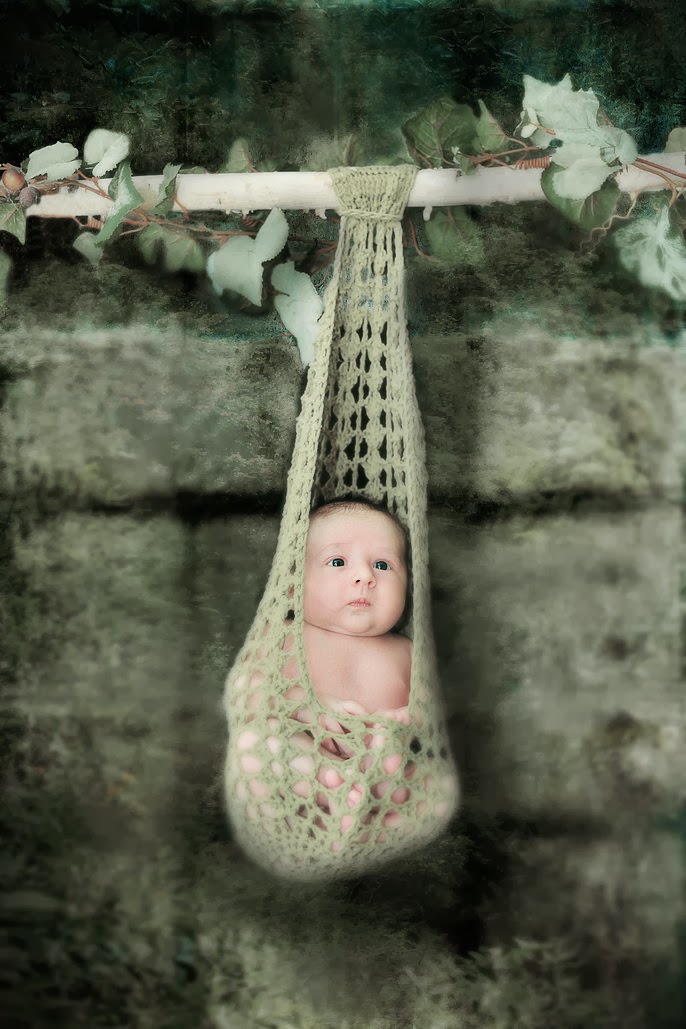 Lavender Dreams Photography | 3419 Queenston Dr, Mississauga, ON L5C 2G5, Canada | Phone: (647) 456-1634