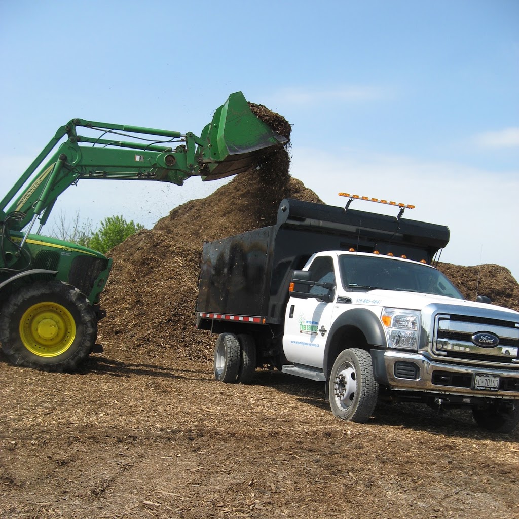 Wyoming Tree Service | 499 Plympton St, Wyoming, ON N0N 1T0, Canada | Phone: (519) 845-0847