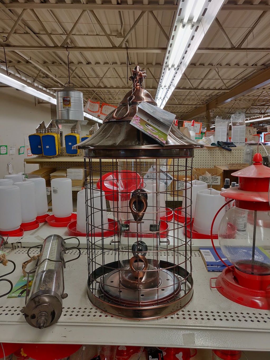 Borden Mercantile Co. Ltd. | 3960 Borden St, Victoria, BC V8P 3H8, Canada | Phone: (250) 479-2084