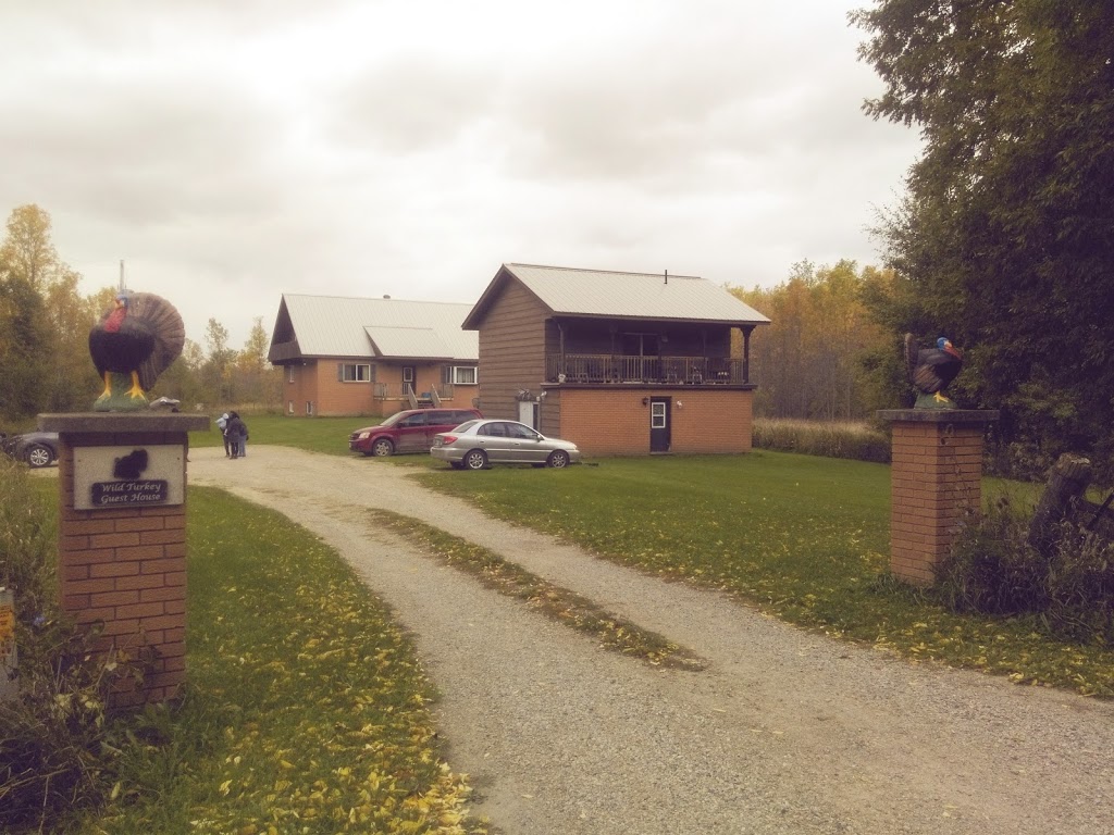 Wildturkey Guest House | 1075 Concession Rd 2, Port Elgin, ON N0H 2C0, Canada | Phone: (519) 386-8349