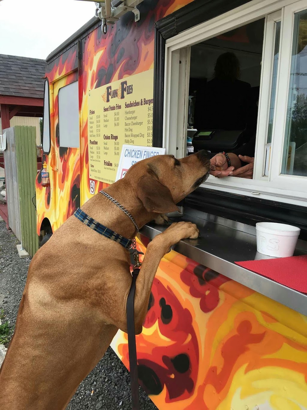 Flaming Fries | 1975 Taunton Rd, Hampton, ON L0B 1J0, Canada