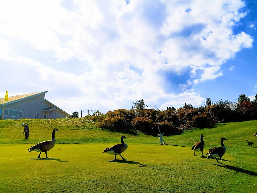 Oshawa Airport Golf Club | 1145 Thornton Rd N, Oshawa, ON L1H 7K4, Canada | Phone: (905) 723-5175