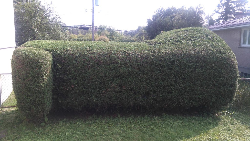 Bob Mitchell Park | 58 Fieldrow St, Nepean, ON K2G 2Y7, Canada | Phone: (613) 580-2595