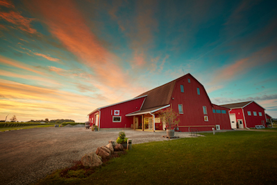 Between The Lines Winery | 991 Four Mile Creek Rd, Niagara-on-the-Lake, ON L0S 1J0, Canada | Phone: (905) 262-0289
