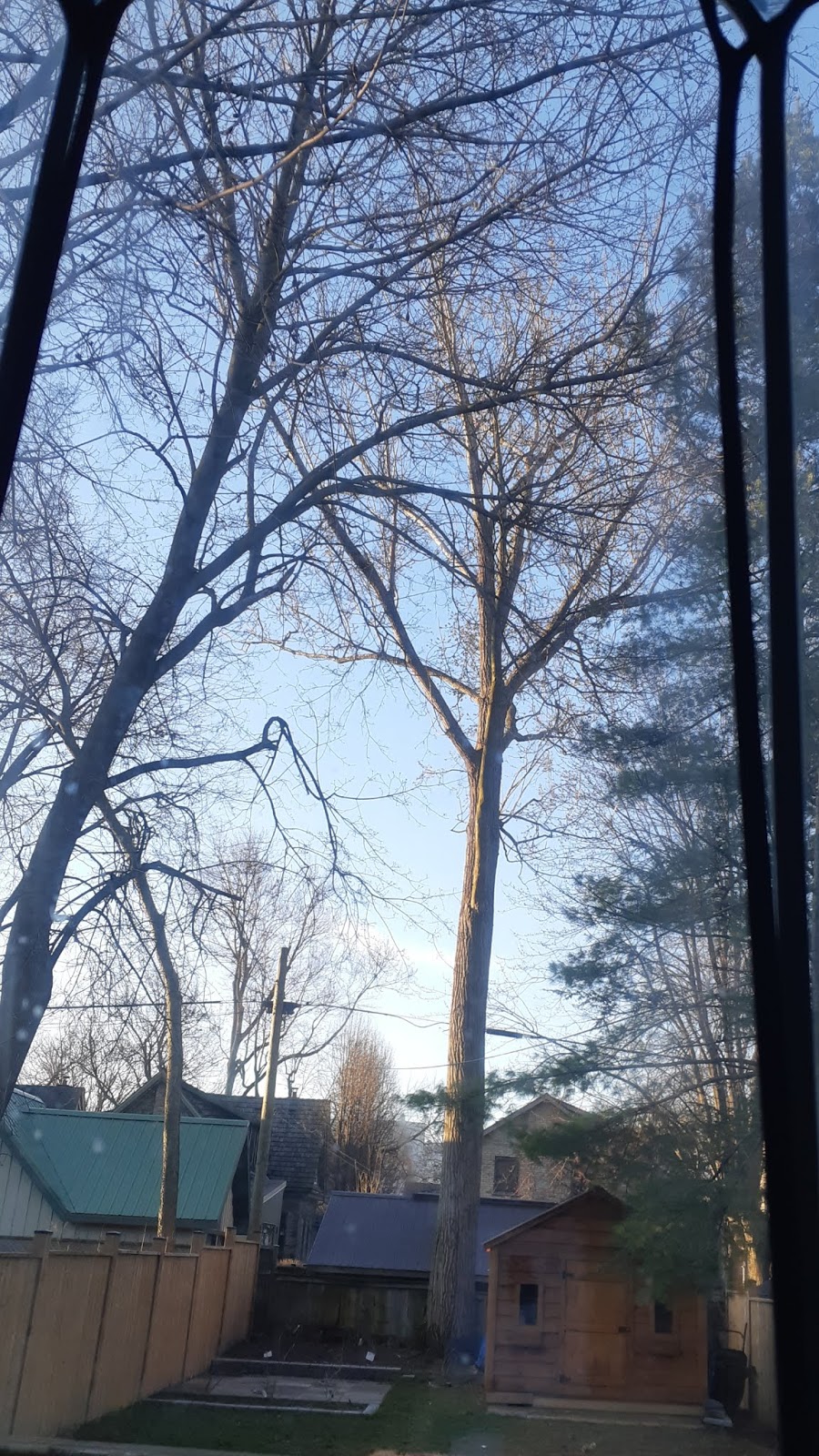Conservatree | 22269, Adelaide St N, Ilderton, ON N0M 2A0, Canada | Phone: (519) 670-0882