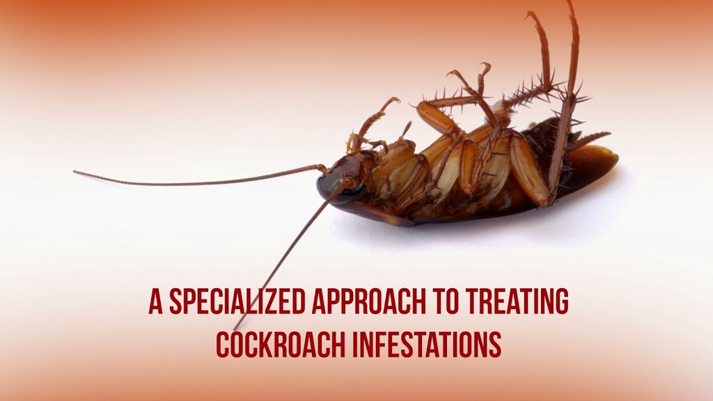 Pest Control | 146 Boom Rd, Maple, ON L6A 3X9, Canada | Phone: (416) 520-8575