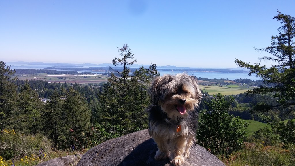 Bear Hill Summit | 6102 Central Saanich Rd, Victoria, BC V8Z 5T7, Canada