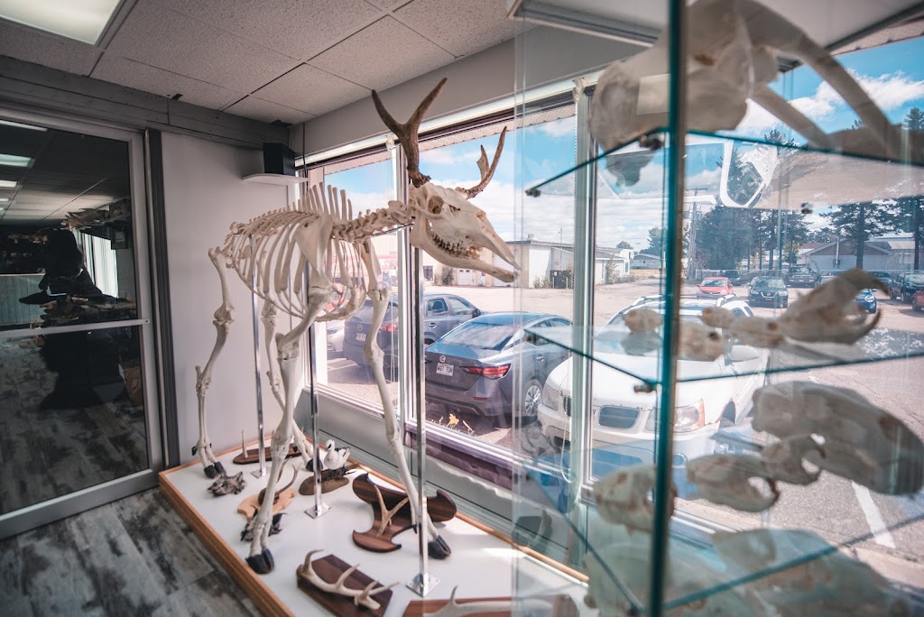 Bilodeau Canada | 943 Rue Saint-Cyrille, Normandin, QC G8M 4H9, Canada | Phone: (418) 274-2511