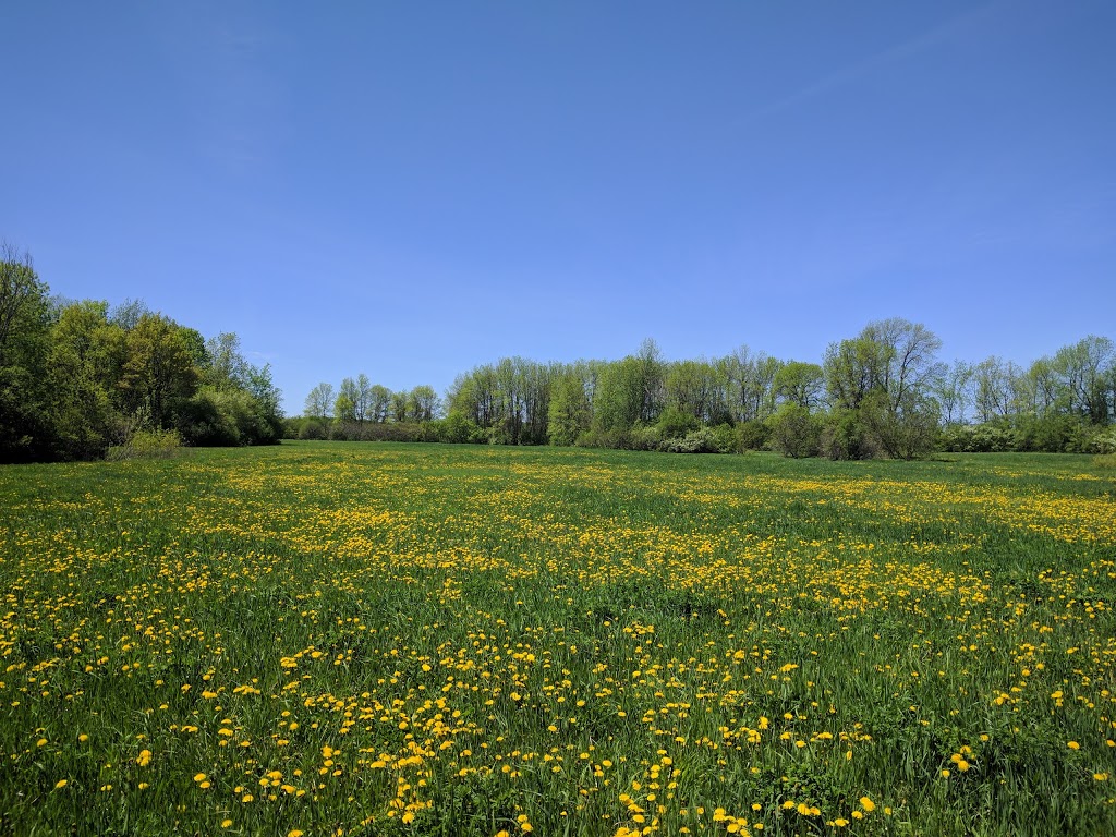 Parc Quinchien | 96 Montée Levac, Vaudreuil-Dorion, QC J7V 8P2, Canada