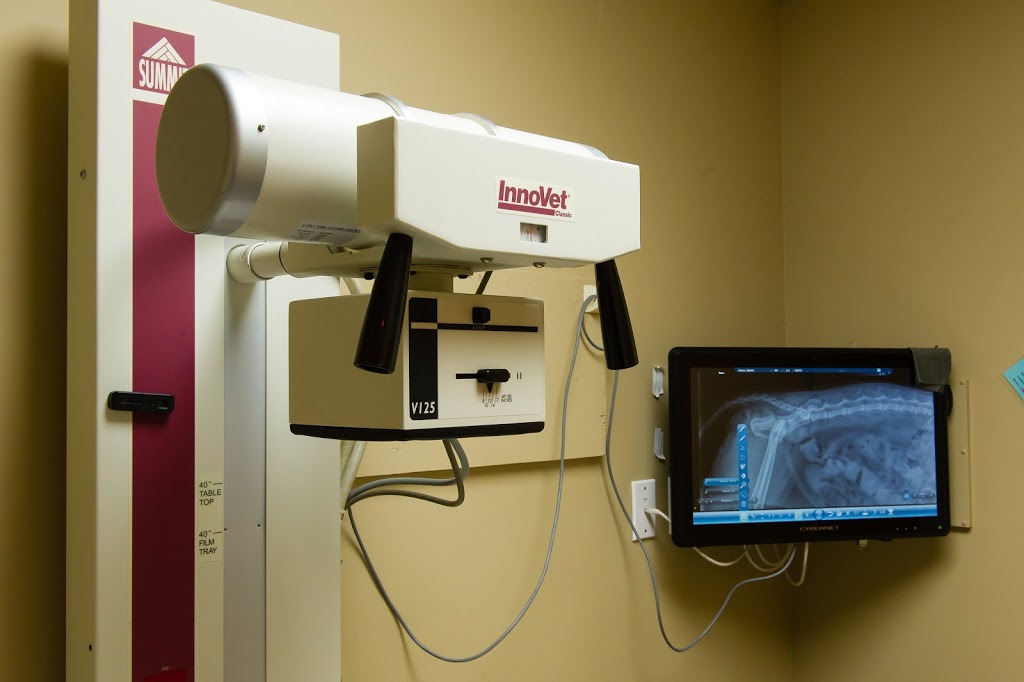 Lockerby Animal Hospital | 2178 Armstrong St, Sudbury, ON P3E 5G9, Canada | Phone: (705) 522-4555