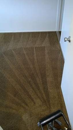 Steam Carpet Care | The Ave NW, Edmonton, AB T6P 7Y8, Canada | Phone: (587) 409-0797