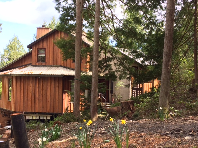 Medicine Beach Healing Arts | 5823 Schooner Way, Pender Island, BC V0N 2M2, Canada | Phone: (250) 507-1316
