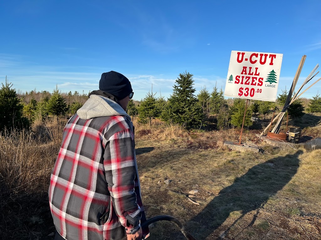 Hogans Christmas Tree Farm | 315 Etter Rd, Mount Uniacke, NS B0N 1Z0, Canada | Phone: (902) 866-2392