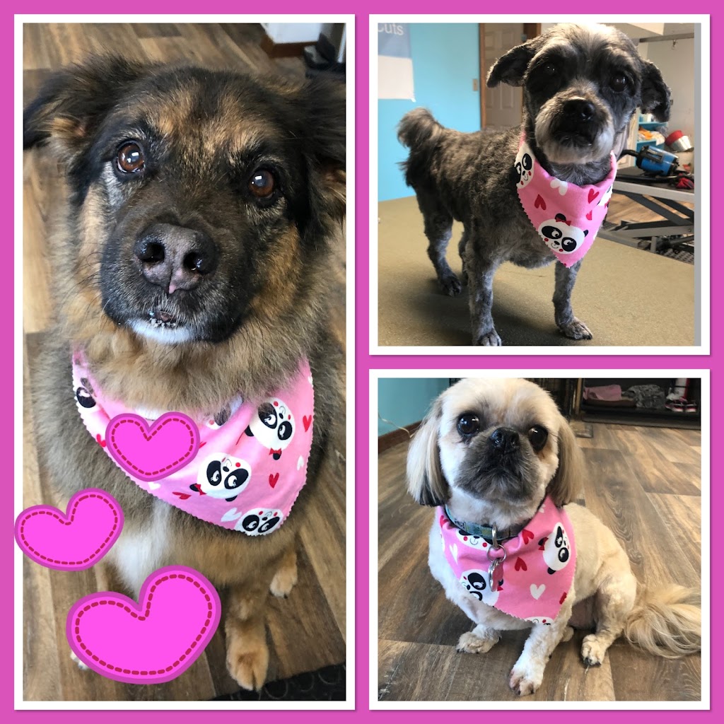 Mutts Cuts Stratford | 1113 OLoane Ave, Stratford, ON N5A 6S6, Canada | Phone: (519) 274-5808