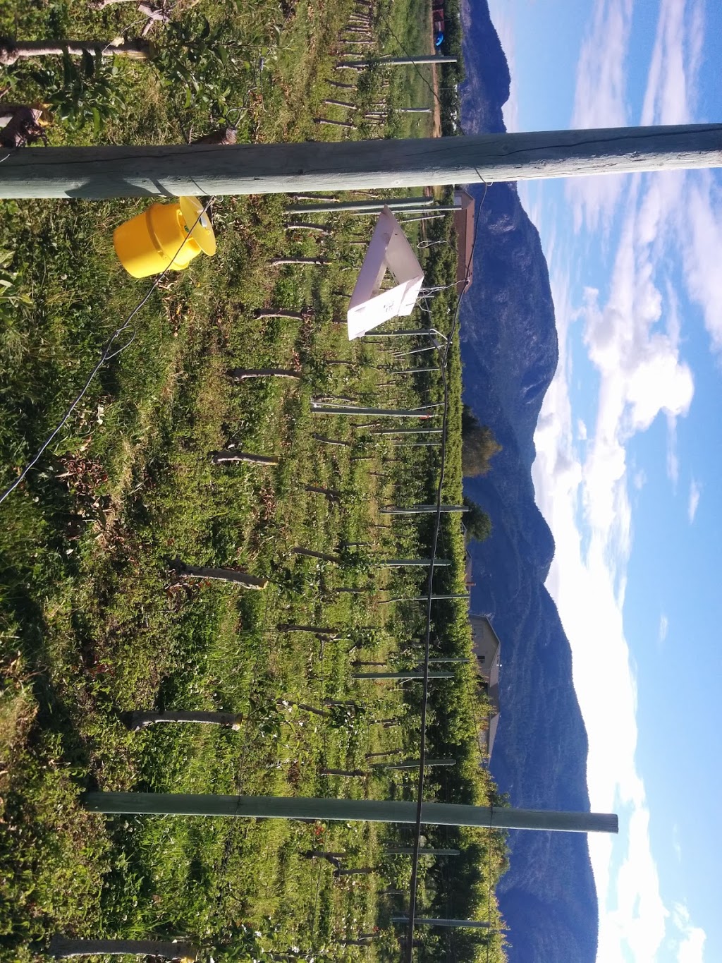 Reflections Guest House | 6813 Meadowlark Dr, Osoyoos, BC V0H 1V5, Canada | Phone: (250) 495-5229