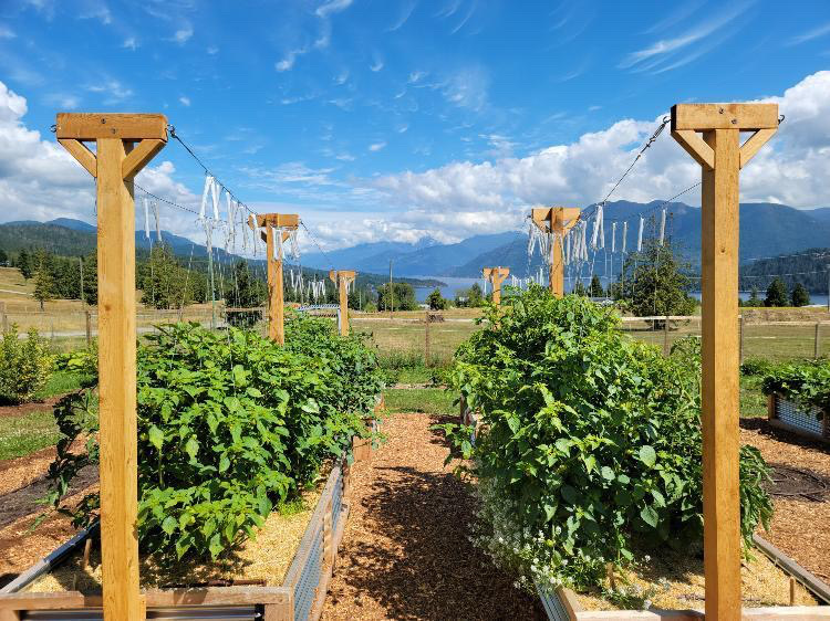 Heart & Sol Coastal Farm | 6282 Crowston Rd, Sechelt, BC V0N 3A5, Canada | Phone: (604) 710-4992
