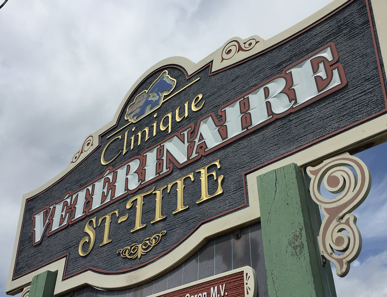 Clinique Vétérinaire St-Tite | 711 Sainte Geneviève, Saint-Tite, QC G0X 3H0, Canada | Phone: (418) 365-7302