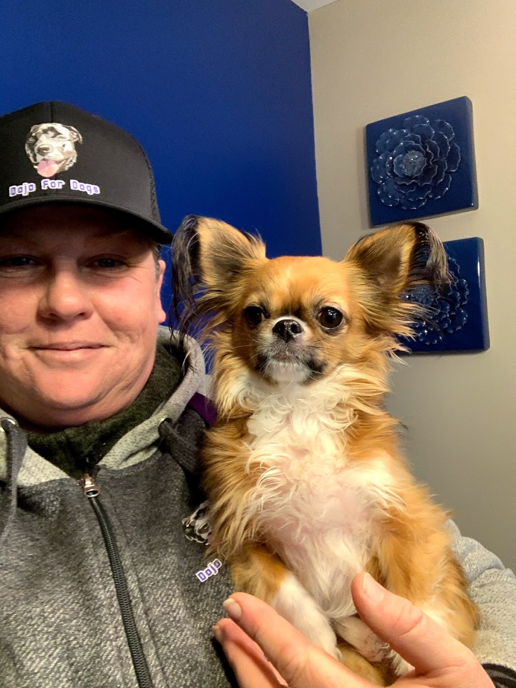 G.C.K9.A. Dojo 4 Dogs | 7 Antwerp St, St. Catharines, ON L2S 1J8, Canada | Phone: (905) 932-0752