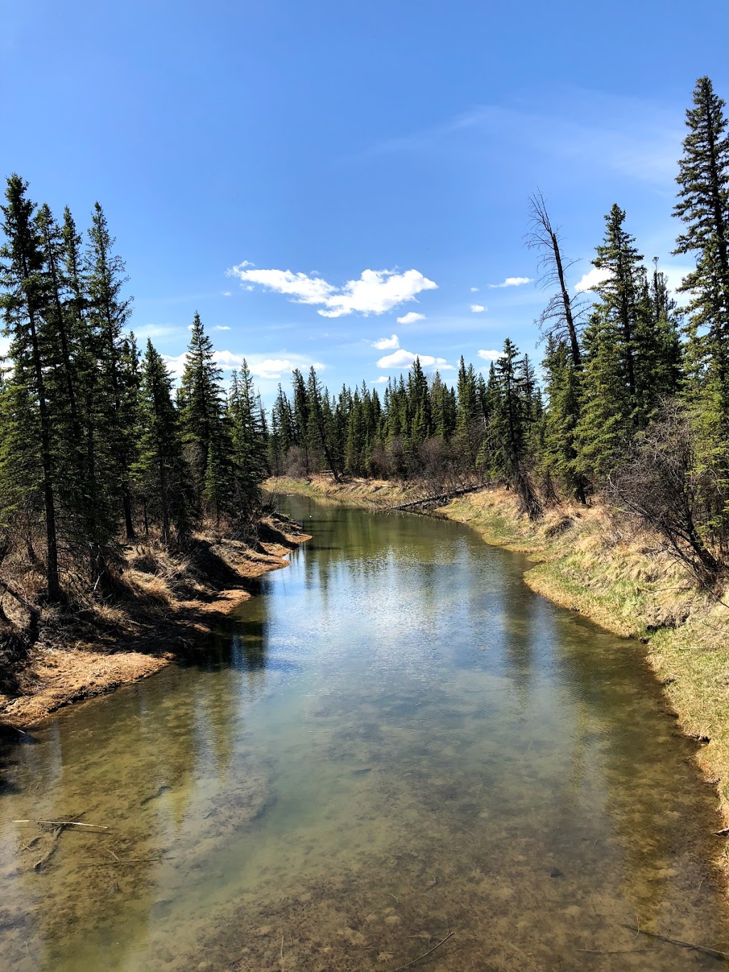 Weaselhead Natural Area Parking | 6634 37 St SW, Calgary, AB T3E 5M9, Canada