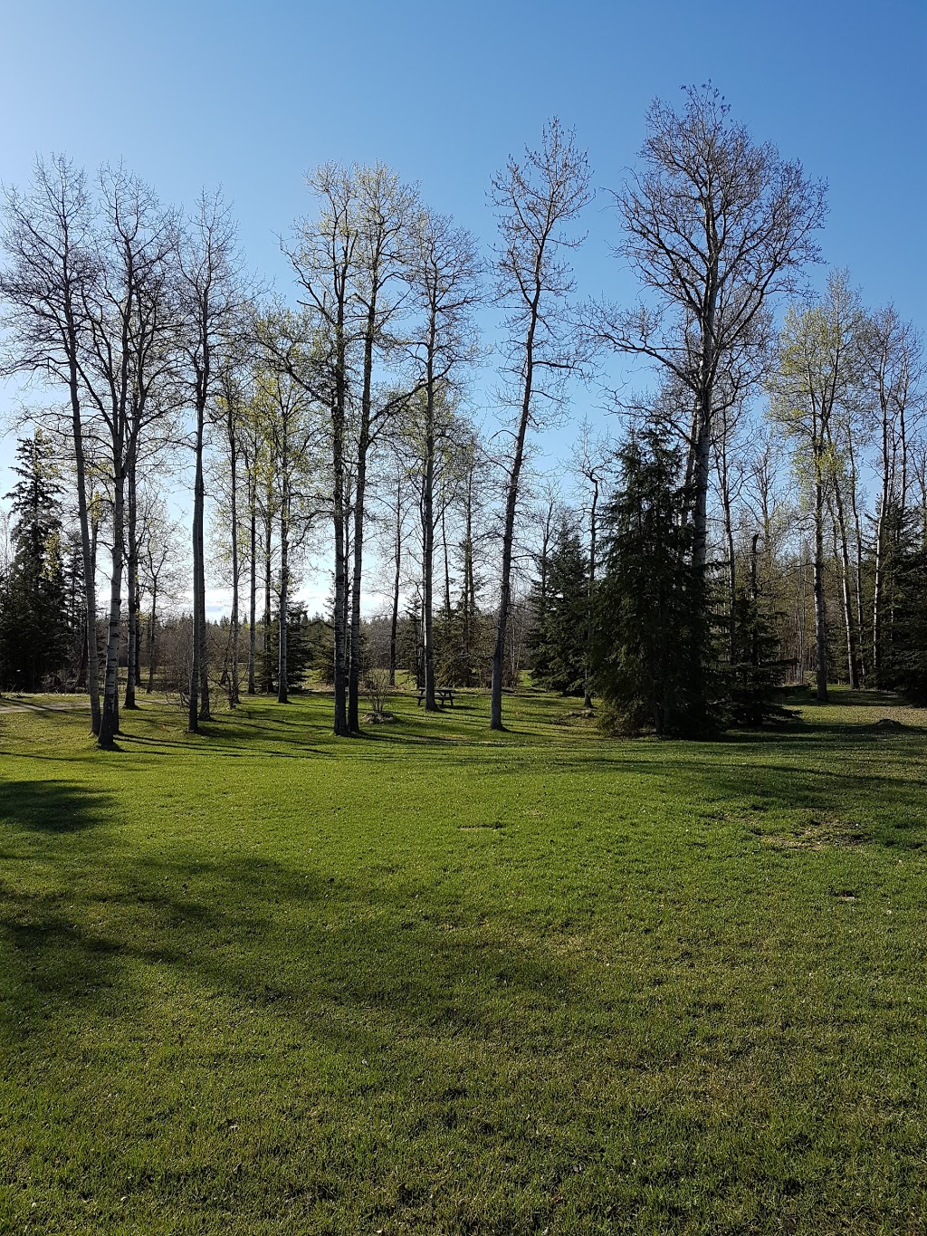 Whitewood RV Park | 53506 Range Rd 43, Lac Ste. Anne County, AB T0E 0J0, Canada | Phone: (780) 660-4653