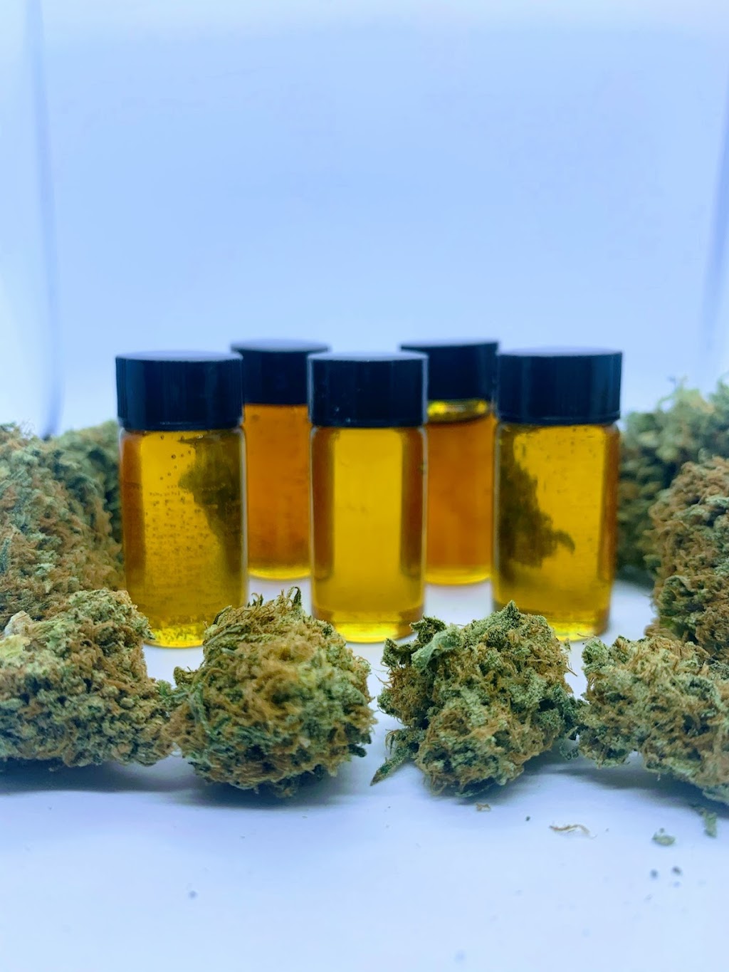 Stoner Station | 6388 ON-21, Southampton, ON N0H 2L0, Canada | Phone: (226) 923-1555