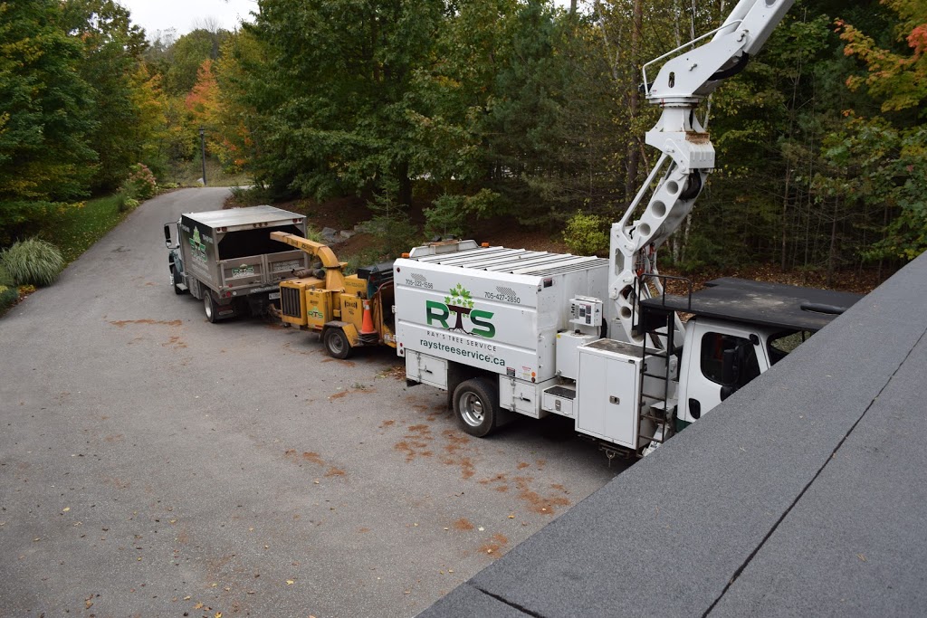 Rays Tree Service | 84 Concession 5 East, Tiny, ON L0L 2T0, Canada | Phone: (705) 322-1556