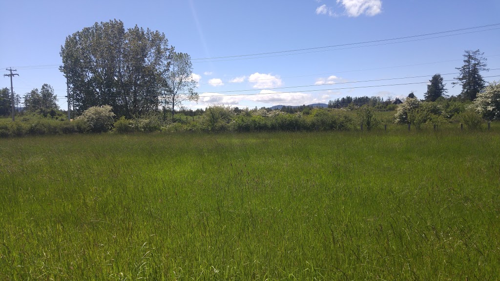 Avid Agility | 8116 Central Saanich Rd, Saanichton, BC V8M 1T7, Canada | Phone: (778) 350-5867