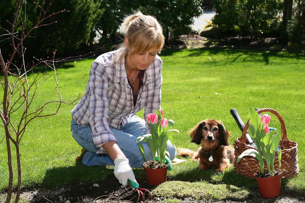 VW Home & Garden Center | 8210 Portal Way, Blaine, WA 98230, USA | Phone: (360) 366-3906