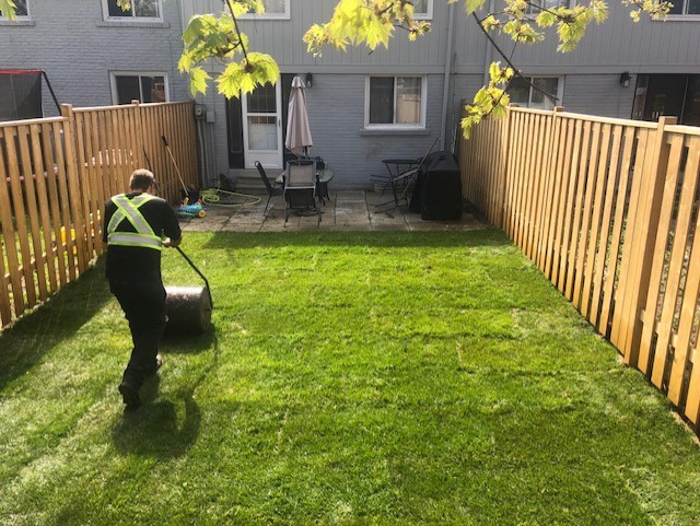Moon Landscaping LTD | 298 Lakeshore Rd W B, Mississauga, ON L5H 1G6, Canada | Phone: (647) 962-5373