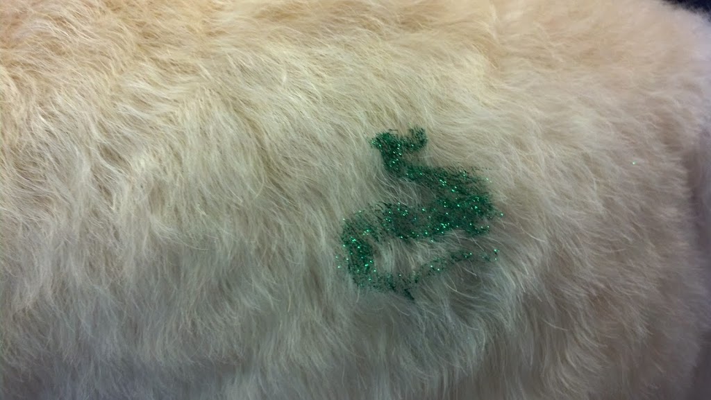 Pet Grooming By Carole | 3181 Sydenham Rd, Elginburg, ON K0H 1M0, Canada | Phone: (613) 532-7335