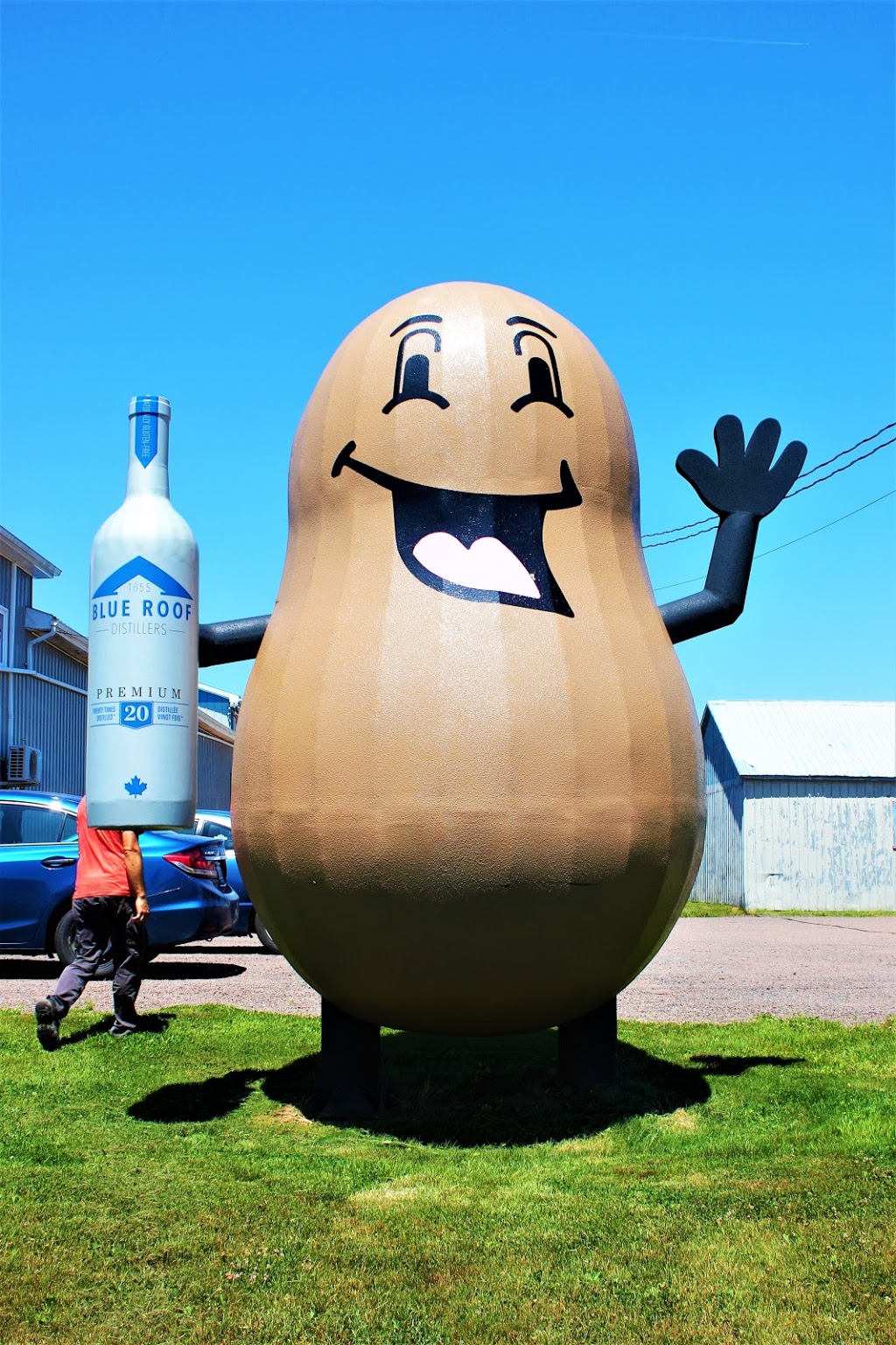 Blue Roof Distillers | 4144 Trans-Canada Hwy, Malden, NB E4M 2H2, Canada | Phone: (506) 538-7767