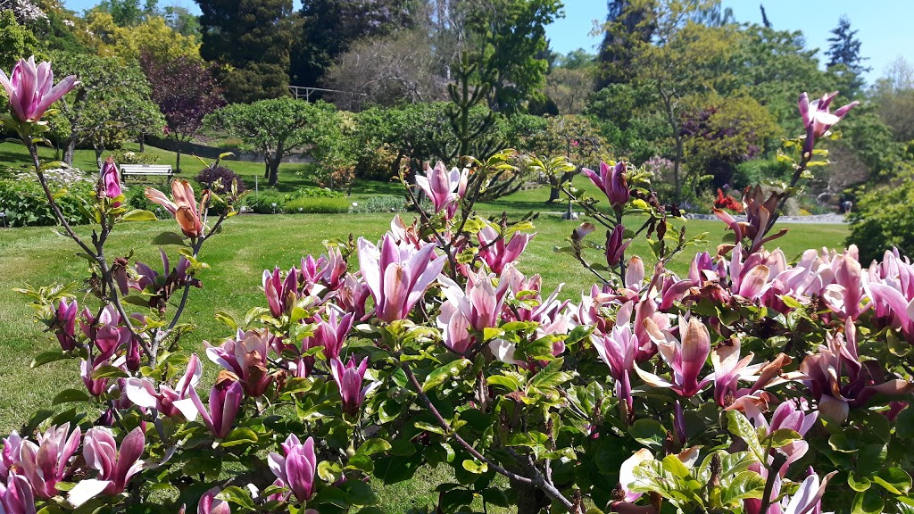 Darts Hill Garden Park | 16th Avenue and 170th Street, Surrey, BC V3S 9X3, Canada | Phone: (604) 501-5050