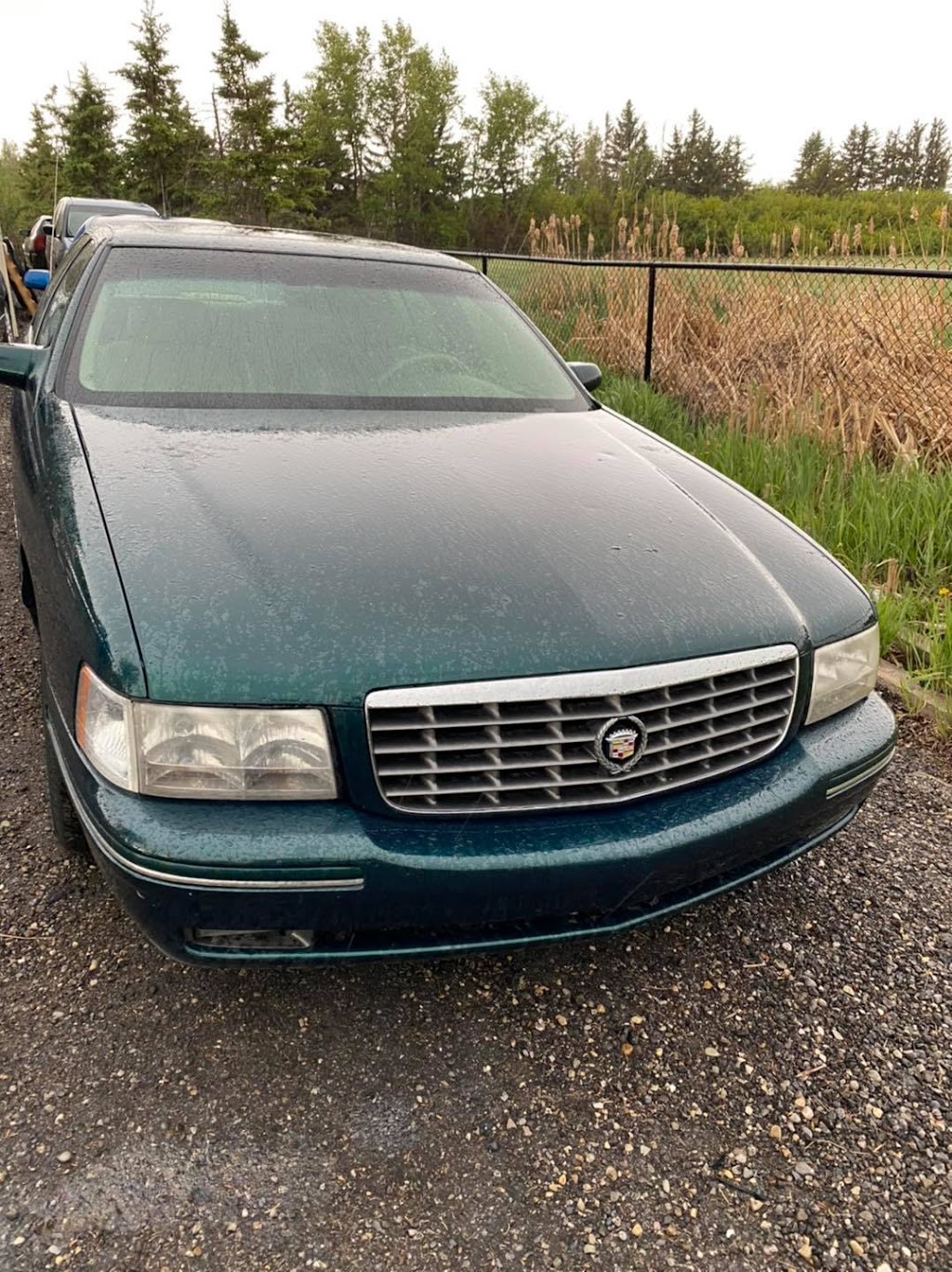 AS Scrap Cars | 41 Carrington Manor NW, Calgary, AB T3P 0Z2, Canada | Phone: (403) 608-9480