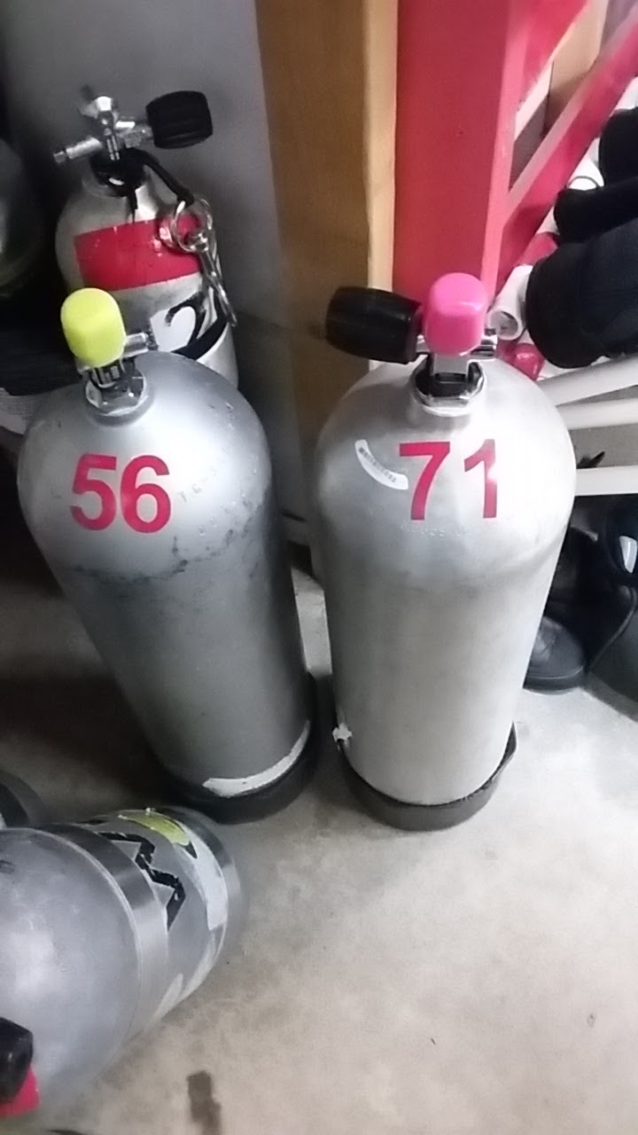 Ocean Pro Divers | 3189 King George Blvd #2, Surrey, BC V4P 1B8, Canada | Phone: (604) 538-5608