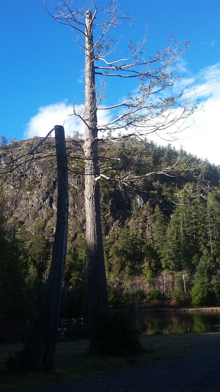 Hotel Lake Campground | Sunshine Coast A, BC V0N 1S1, Canada | Phone: (604) 883-2354
