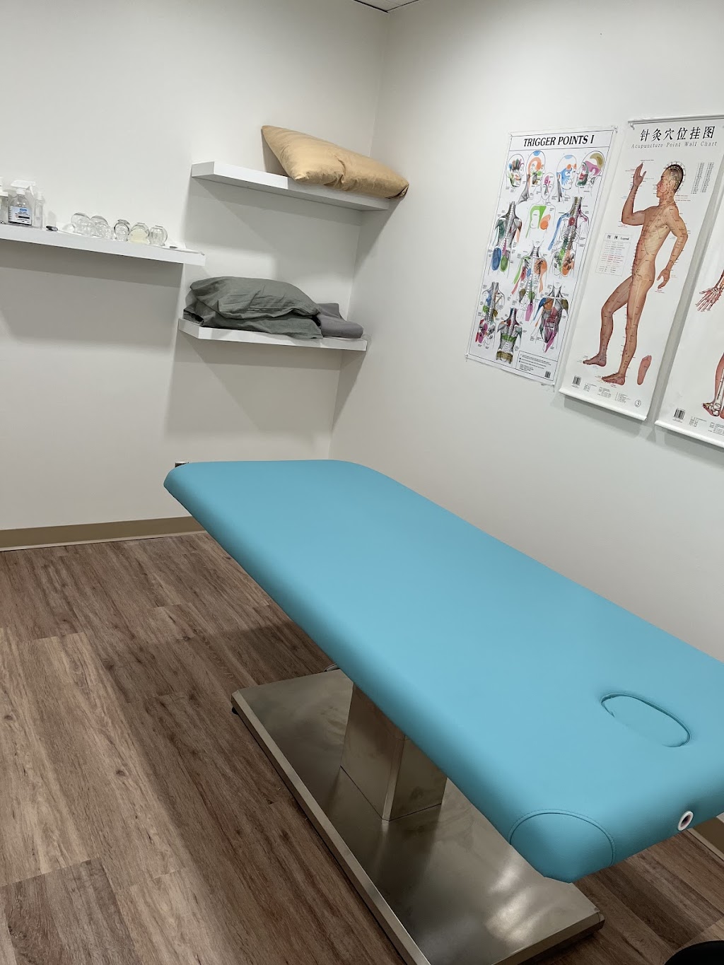 Alive Acupuncture & Massage | 18 Britannica Rd, Winnipeg, MB R2N 1J4, Canada | Phone: (204) 880-5580